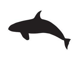 Killer shark silhouette on white background vector