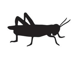 Grasshopper silhouette on white background vector