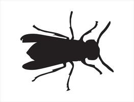 Hornet silhouette on white background vector