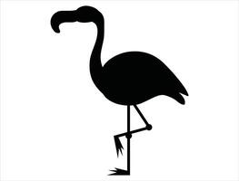 Flamingo silhouette on white background vector