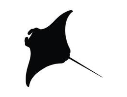 Manta ray silhouette on white background vector