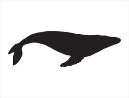 Humpback silhouette on white background vector