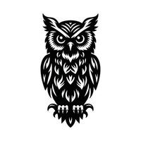 Owl Animal Black Silhouette With White Color Background vector