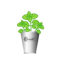 Basil herb in silver metallic pot. Isolated on white background. vector