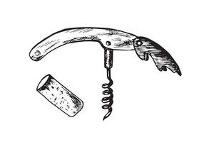 Hand drawn sketch of a modern corkscrew and wine cork . Engraving style. Doodle illustration. For design, packaging, web banners vector