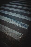 zebra crossing crossing on the highway photo