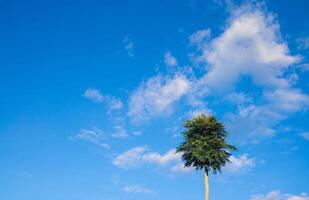 clear blue sky with beautiful white clouds photo