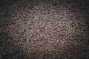 texture of soil and small rocks on a cliff photo