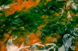 Sulfur water is orange and green photo