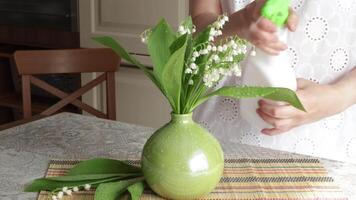 Woman put bouquet of lilies of valley in vase video