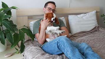 A man plays with a playful puppy at home. video