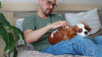 un hombre toma cuidado de su mascota, peinada un perrito a hogar con un silicona masaje peine video