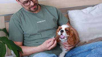 Close-up of a man giving a chew stick to a puppy. Teething, healthy treats video