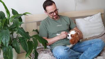 een Mens geeft een kauwen stok naar een pup. tandjes krijgen, gezond behandelt video