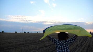 ukrainien Dame le jogging avec nationale bleu jaune bannière sur orge Prairie à lever du soleil. femme fonctionnement avec élevé drapeau Ukraine au dessus sa tête sur blé champ à le coucher du soleil. la victoire contre russe agression video