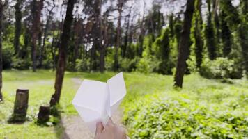 kvinna hand spelar med papper flygplan på sommar skog. flicka gående med leksak plan på skog på solig dag. ung kvinna har roligt på natur. begrepp av fritid utomhus. stänga upp video