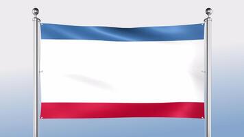 Crimeia bandeira trava em a pólo em ambos lados video