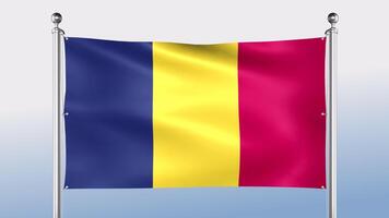 Chad Flag Hangs On The Pole On Both Sides video