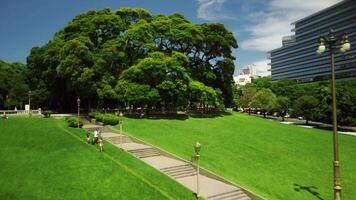 Sommer- Tag im Park in der Nähe von Platz de Mayonnaise, Buenos lüftet. Grün Bäume, üppig Gras, und Menschen genießen sonnig Wetter. schön städtisch Landschaft, kombinieren Natur mit historisch die Architektur. video