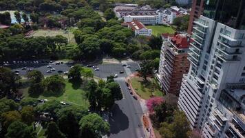 Top view of Buenos Aires downtown. Skyscrapers line the avenue, car traffic below. Aerial drone captures city architecture, urban buildings, parks, trees. Modern cityscape video