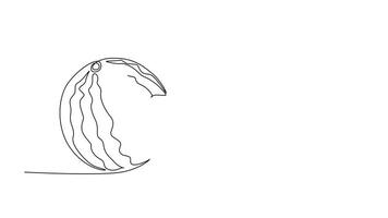 Animated self drawing of continuous line draw sliced and whole healthy organic sweet watermelon for orchard logo identity. Fresh fruitage concept for fruit garden icon. Full length one line animation video