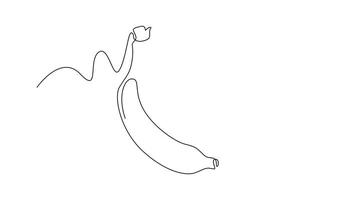 Self drawing animation of single line draw of whole bunch healthy organic bananas for orchard logo. Fresh summer tropical fruitage concept fruit garden icon. Continuous line draw. Full length animated video