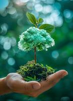 mano participación un pequeño nublado árbol foto