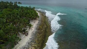 Tropical coastline and blue ocean. Aerial view of paradise luxury resort video