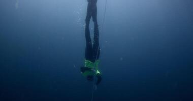 hombre gratis buzo asciende a lo largo el cuerda durante buceo libre formación en el abierto profundo mar video