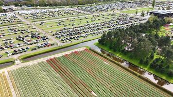 Flug Über keukenhof Garten, Niederlande mit ein Aussicht von ein Arbeiten Mühle video