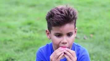 six year old boy in a blue T-shirt with a dirty face eats macaroons with appetite and smiles, looks at the camera, sits on a green lawn, video