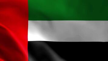 The flag of the United Arab Emirates fluttering in the wind. Detailed fabric texture. video