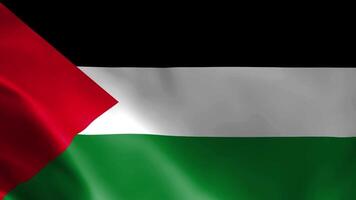 Palestijn vlag fladderend in de wind. gedetailleerd kleding stof textuur. video