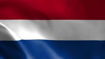 das Flagge von das Niederlande flattern im das Wind. detailliert Stoff Textur. nahtlos geloopt Animation. video