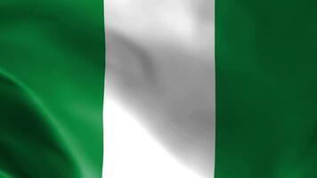 Nigeria flag fluttering in the wind. Detailed fabric texture. video