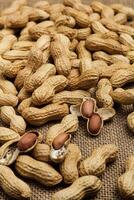 Peanut in a shell texture. Food background of peanuts. Close up. Macro photo