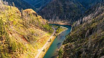 Narrow river flowing among the mountains. Brown rocks are covered with dry trunks of pine trees. Car rides by the highway at the waterfront. photo