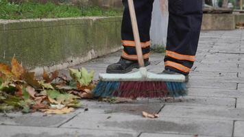cleaning the fallen leaves in the park video