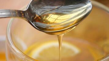 pouring honey in a cup of tea on table video