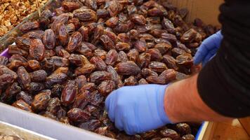 many date fruits display for sale at local market video