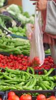 mujer escoger maduro tomate y poniendo en un el plastico paquete video