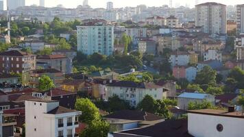 istanbul city view at early morning with greenery video