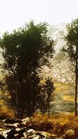 beaux rochers avec quelques arbres à la lumière du jour au népal video