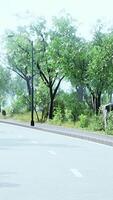 vista de la carretera vacía con poste de luz y luz solar video