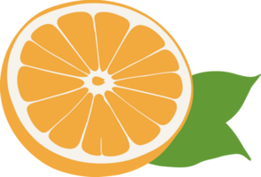 Isolated fresh orange cartoon clipart, design element for logo, infographic, juicy fruit, juice, essential ingredients, healthy food recipes, vitamin C, summer decoration, vegetarian, sour taste png