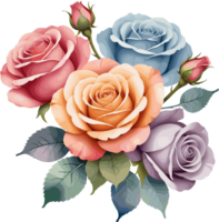 bouquet de coloré Rose clipart, aquarelle floral illustration pour juin naissance mois fleur, botanique, mariage, toutes nos félicitations, Valentin, aimer, se soucier, mère, peindre, anniversaire, anniversaire, féminin png