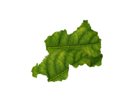 Rwanda map made of green leaves ecology concept png