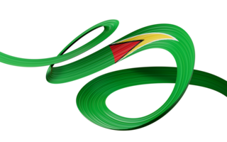 3d vlag van Guyana land, 3d golvend groen lint vlag, 3d illustratie png