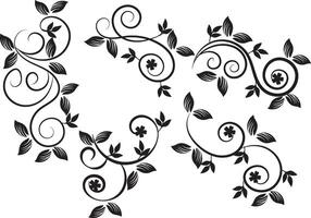Floral ornaments collection vector