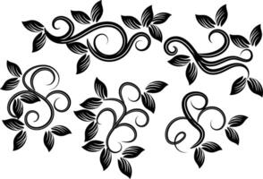 Floral ornaments collection vector